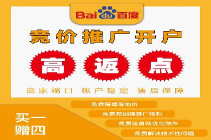 百度推广优化实战技巧与案例解析